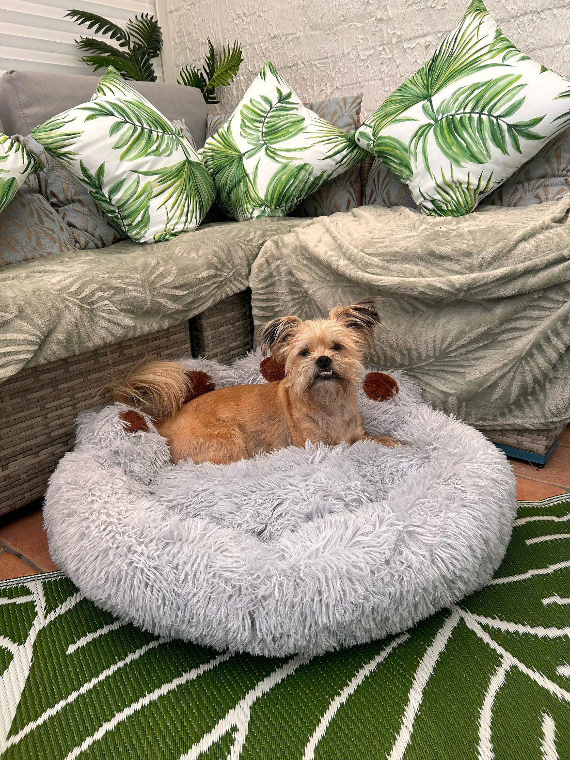 Paw Shaped dog bed