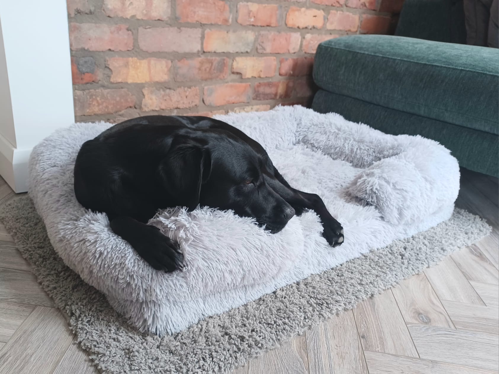 Rectangle Plush Dog Bed