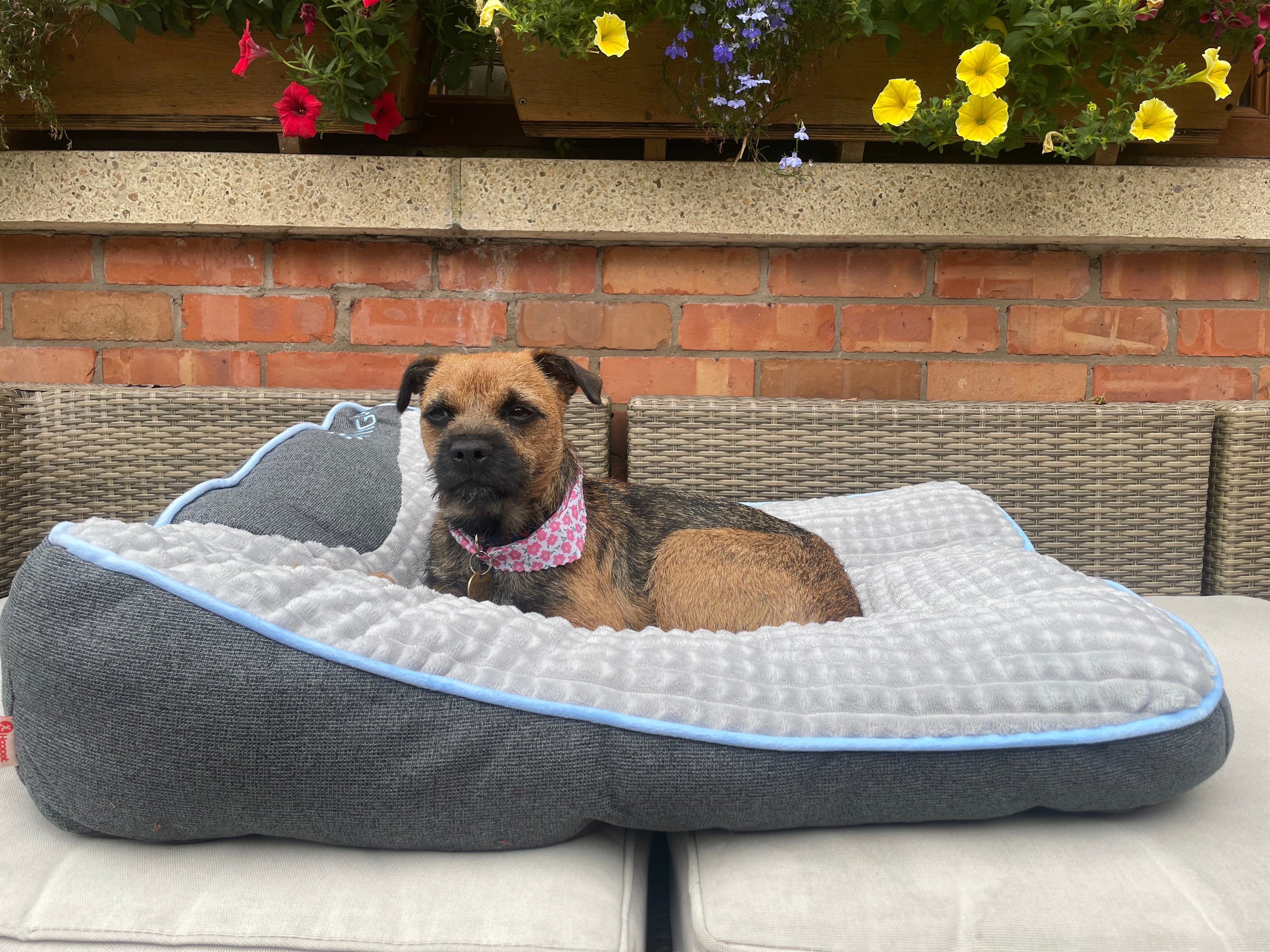 calming dog cushion with head thickened design