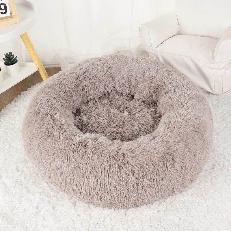 Doughnut Shaped Dog Bed