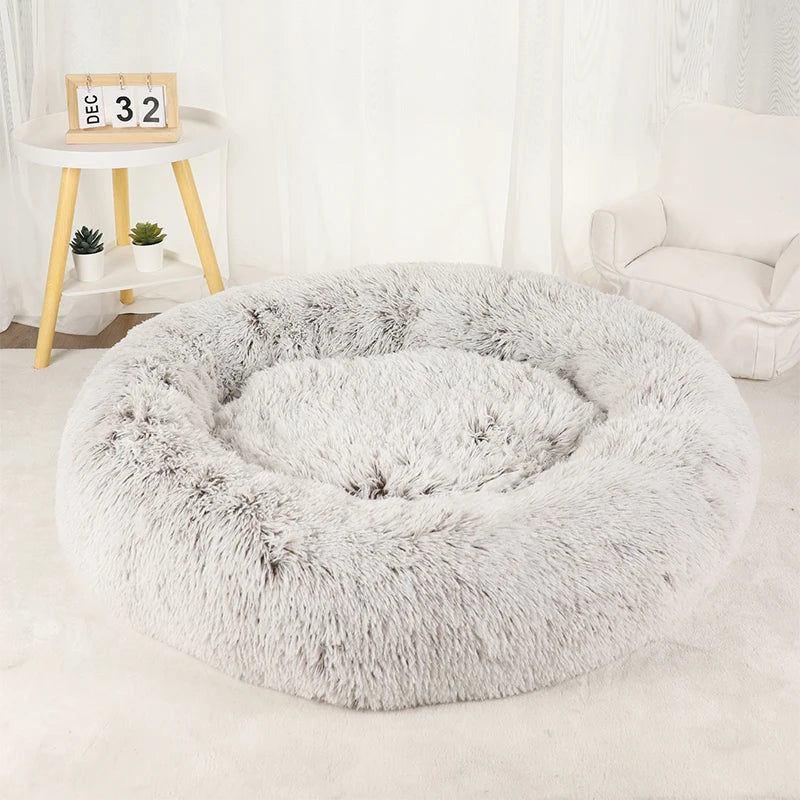 Doughnut Shaped Dog Bed