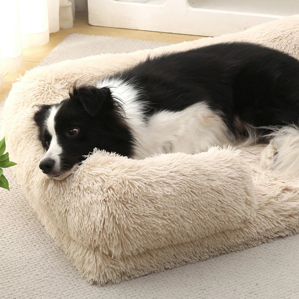 Rectangle Plush Dog Bed