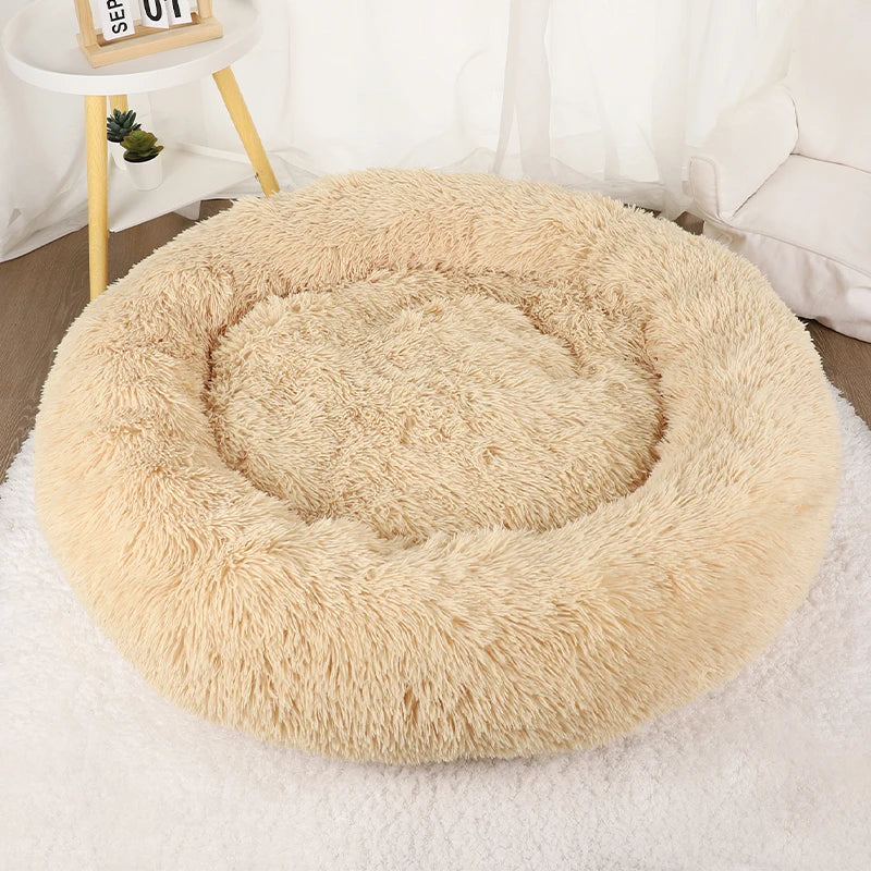 Doughnut Shaped Dog Bed