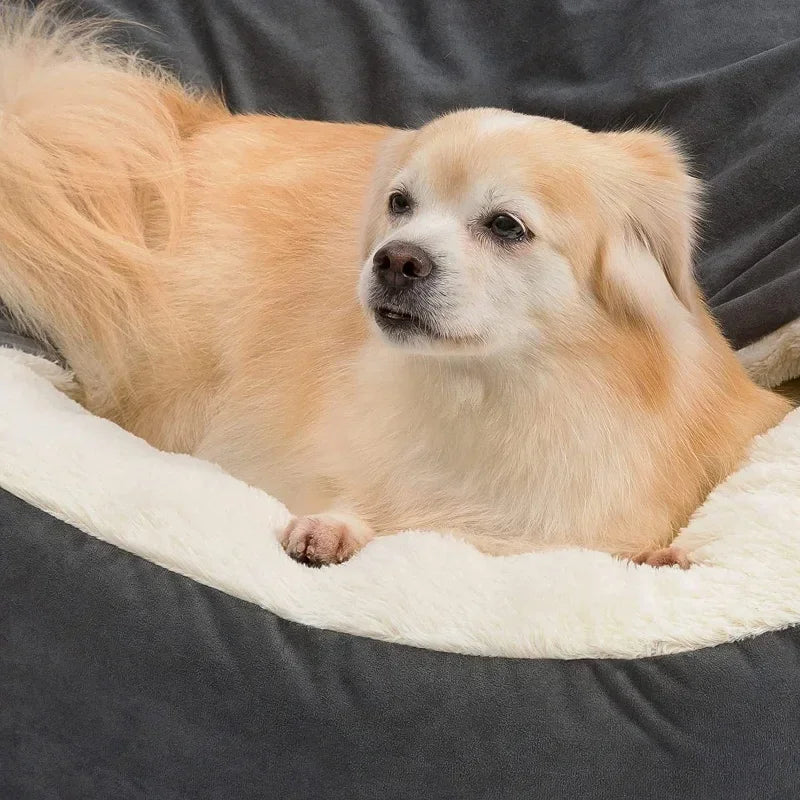 Semi-closed Dog Bed
