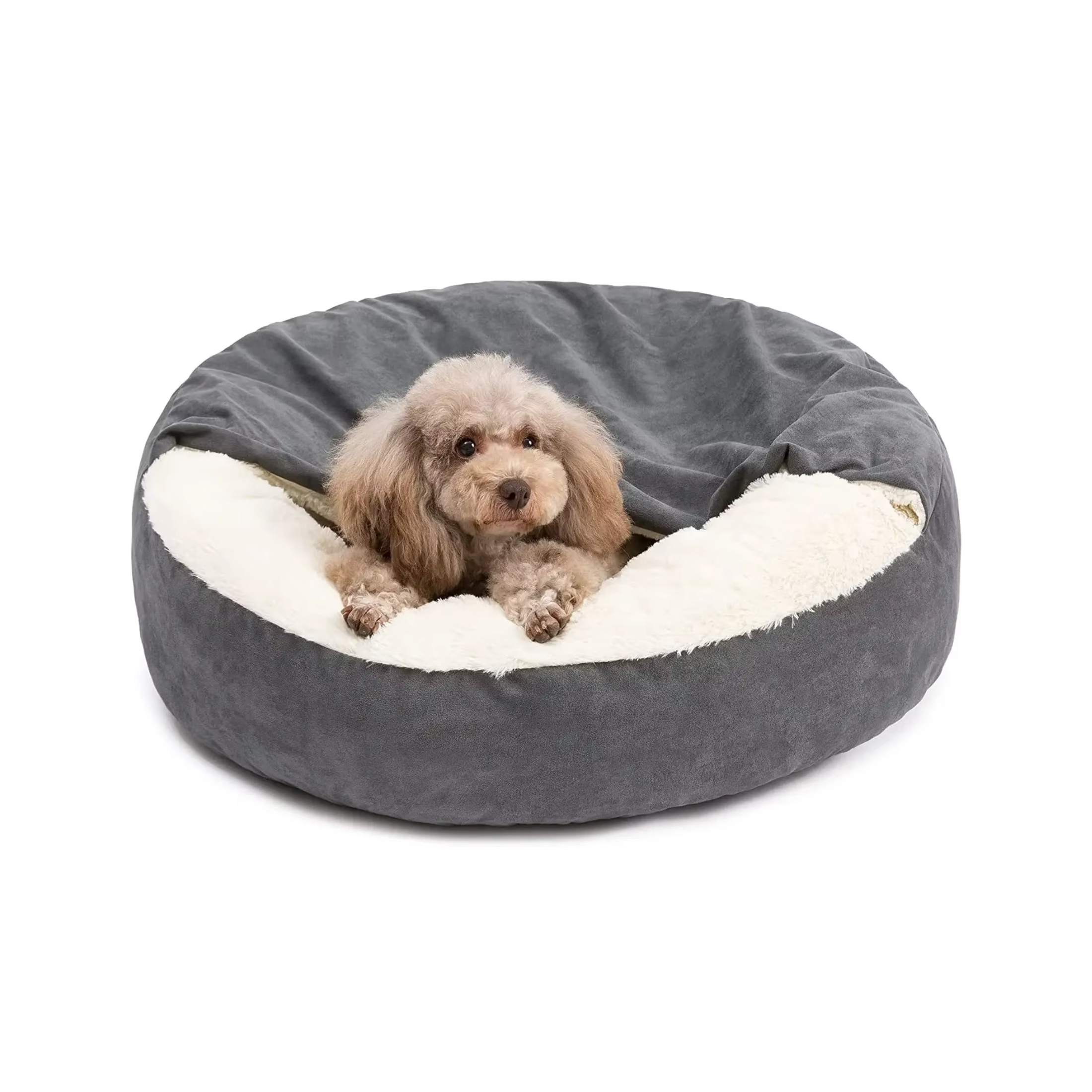 Semi-closed Dog Bed