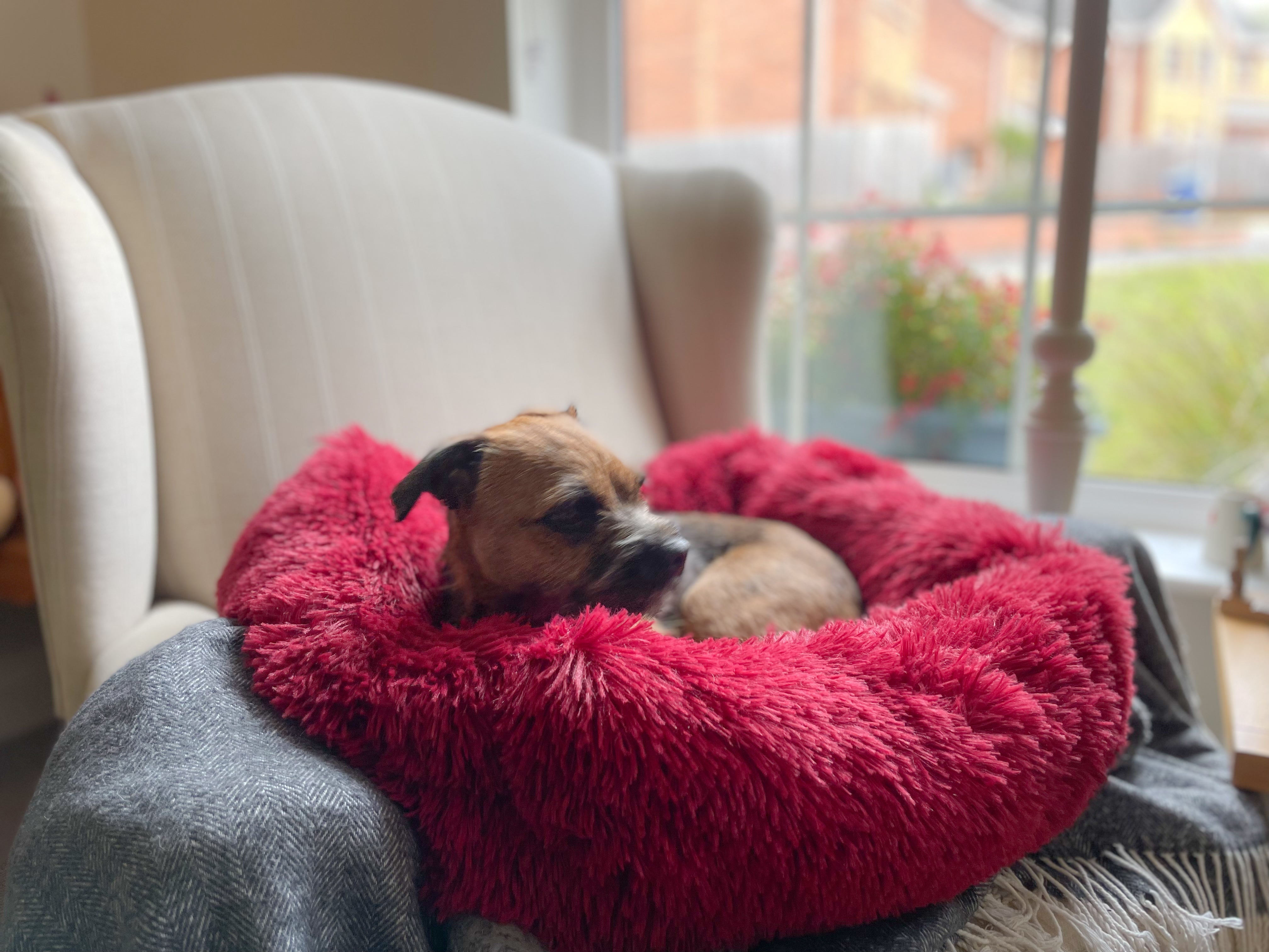 Orthopaedic Square Pet Bed