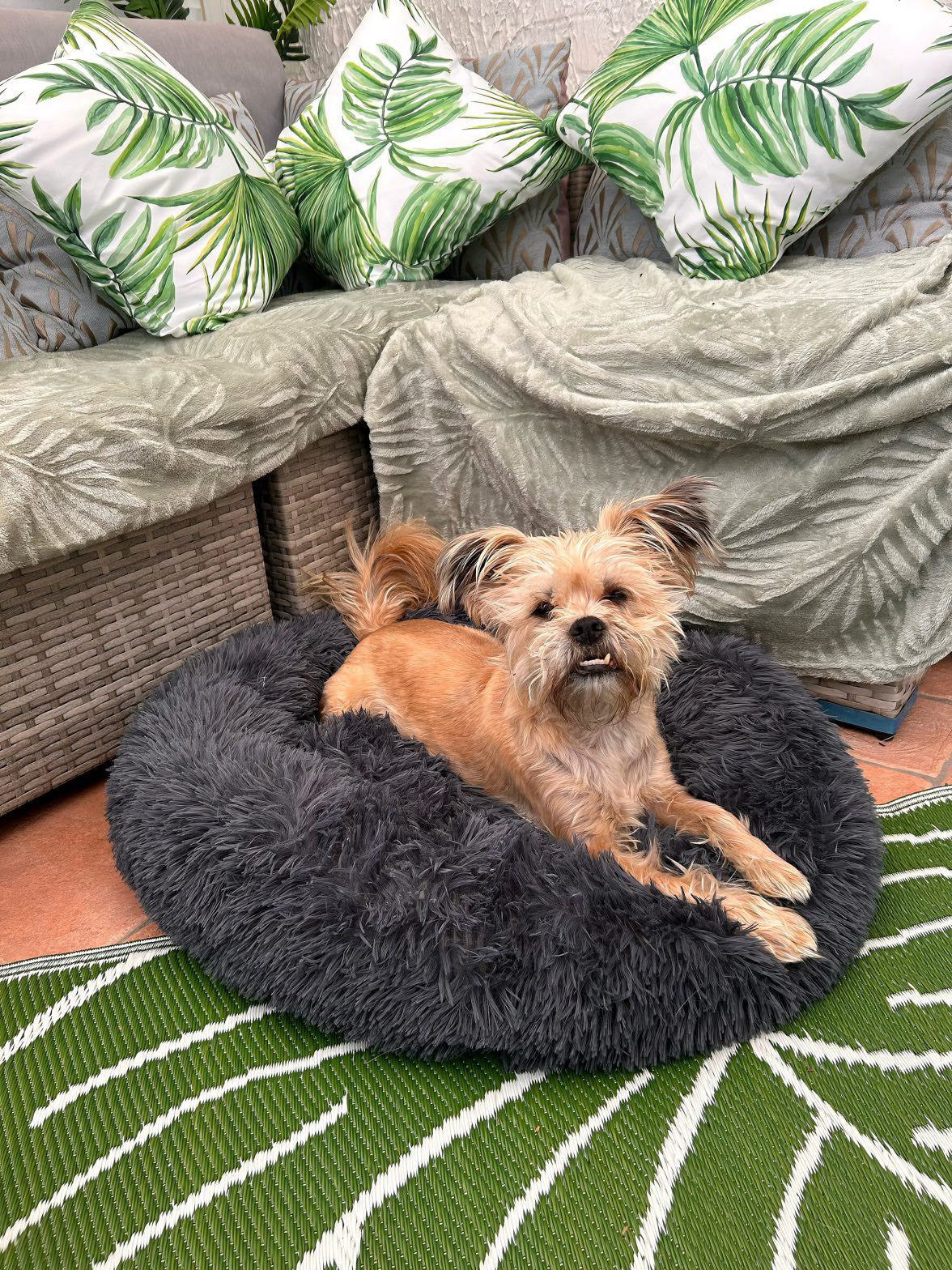 Doughnut Shaped Dog Bed