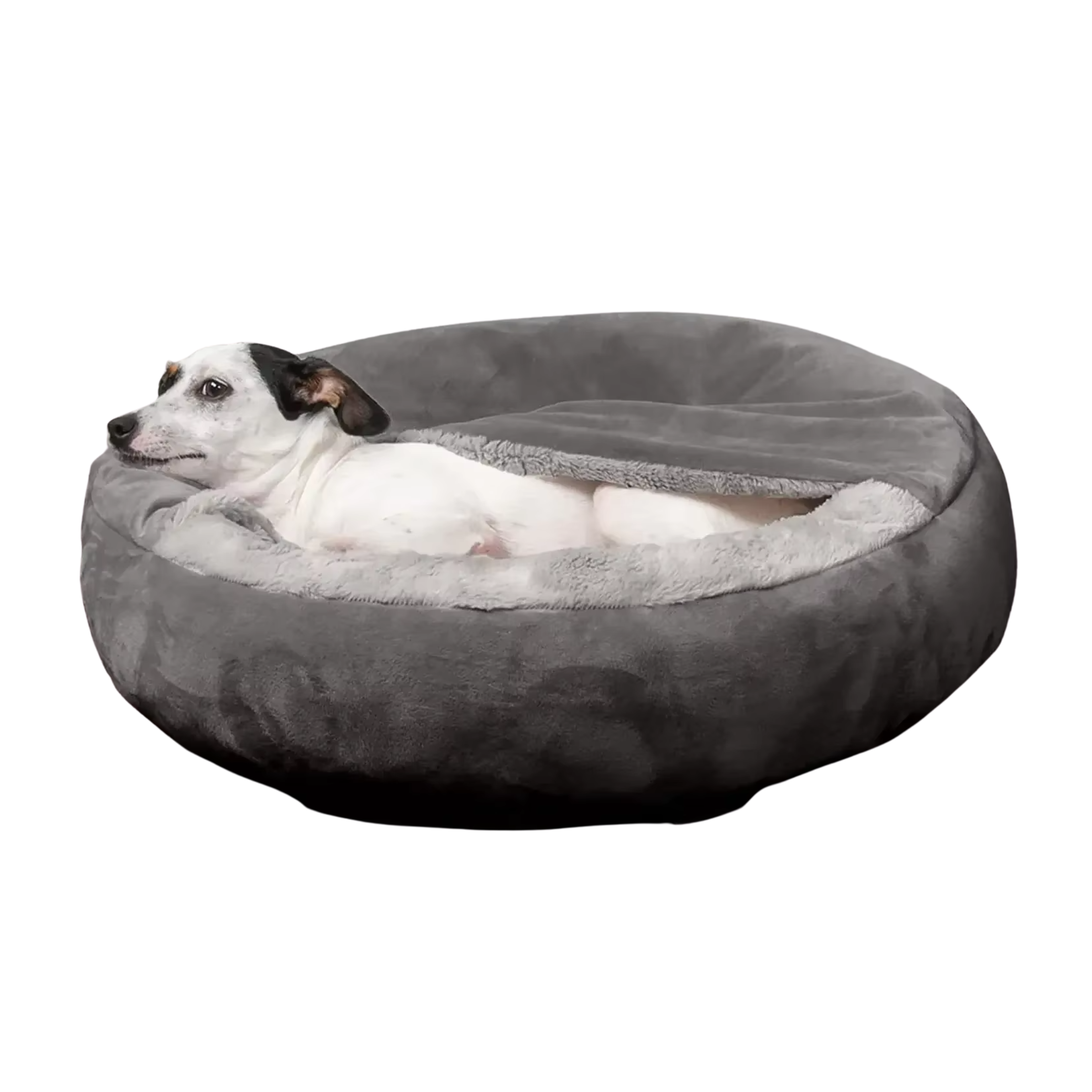 Semi-closed Dog Bed