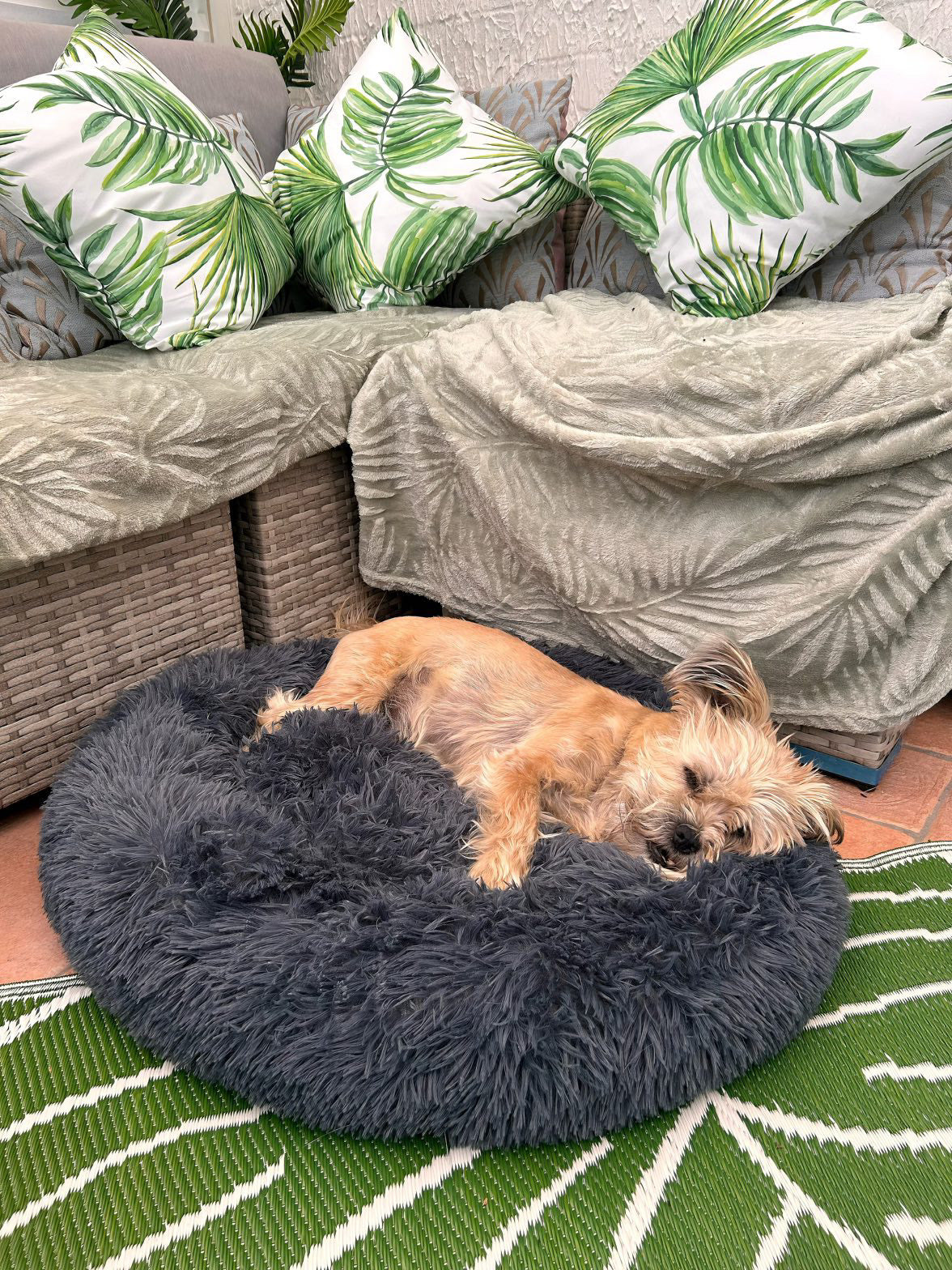 Doughnut Shaped Dog Bed