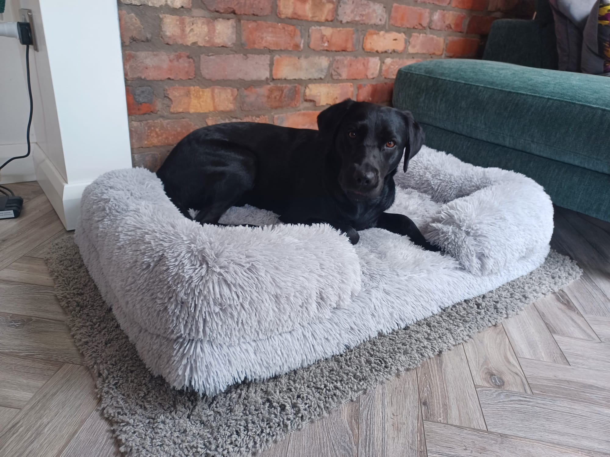 Rectangle Plush Dog Bed